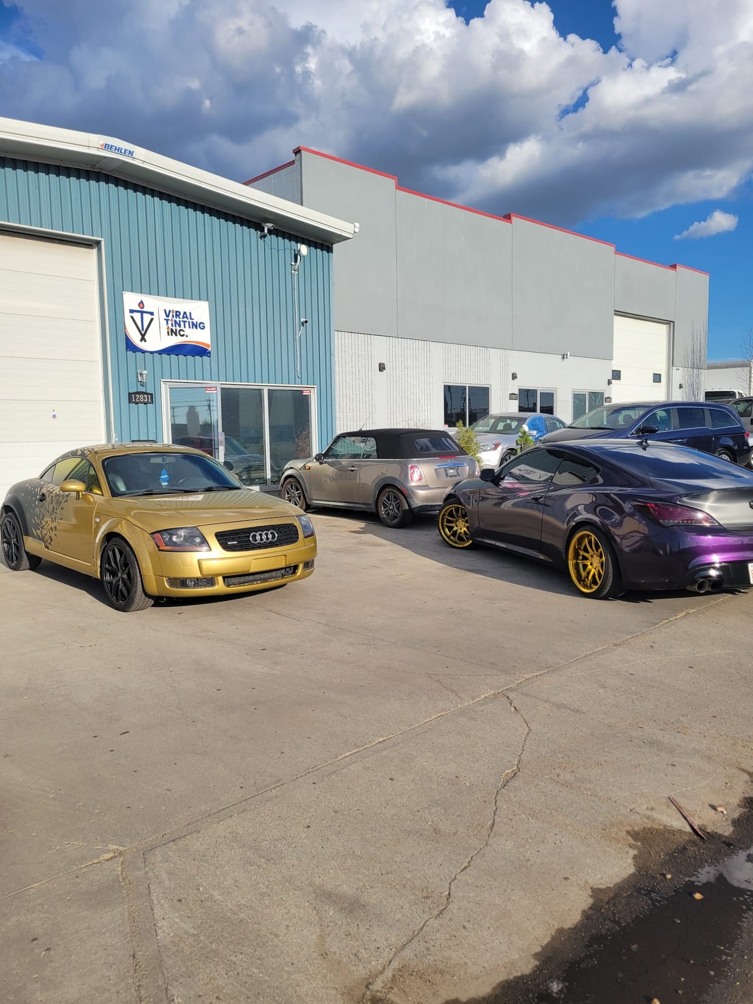 Viral Tinting work sample 4