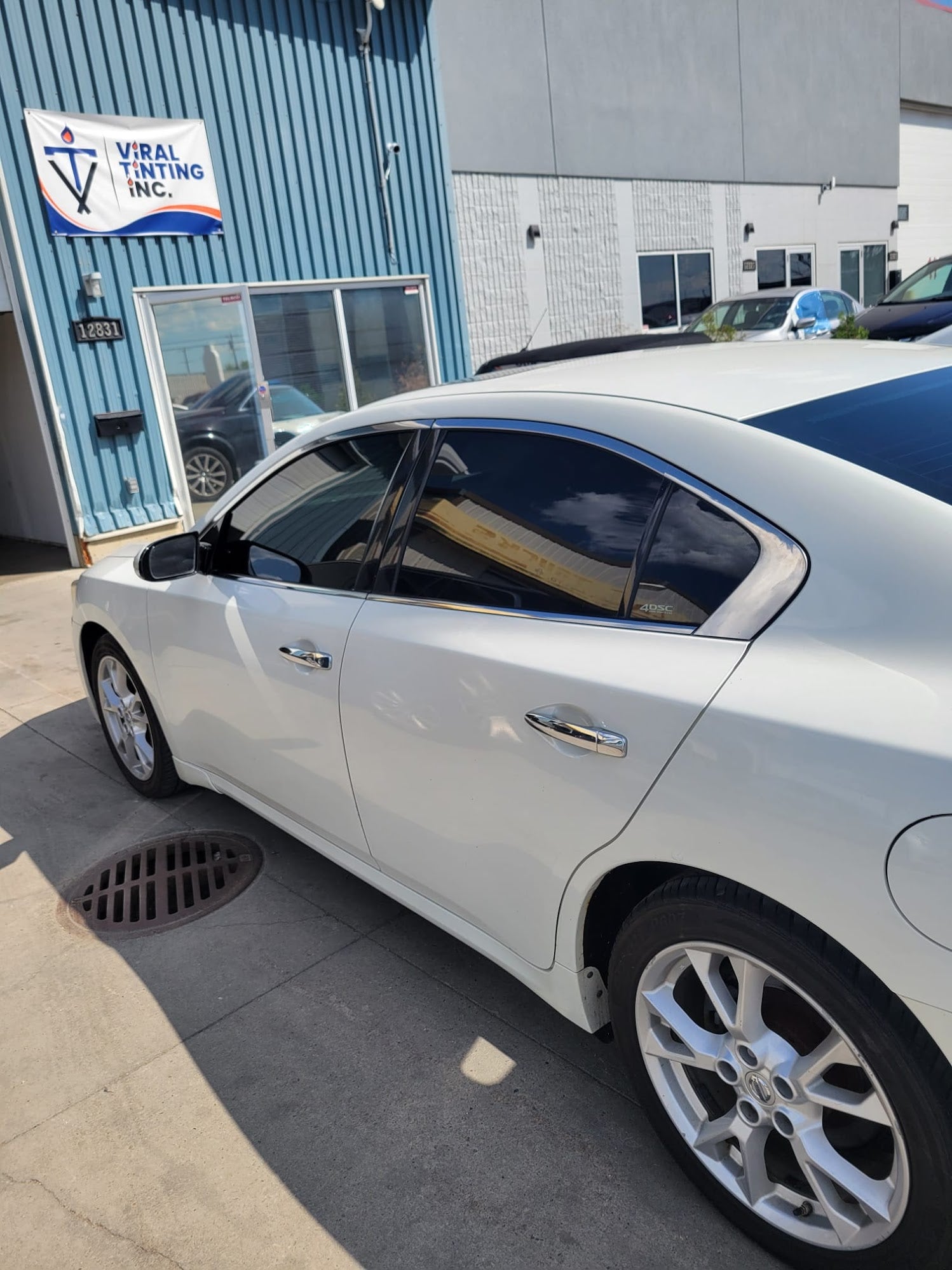 Viral Tinting work sample 5