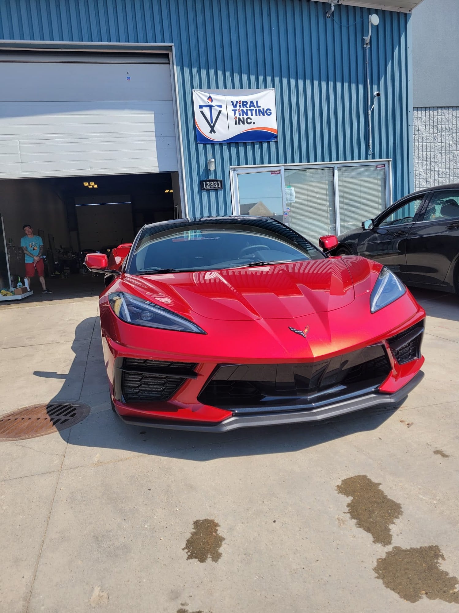 Viral Tinting work sample 7