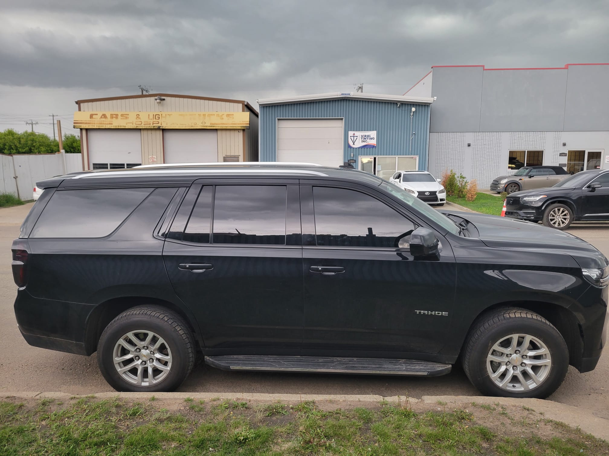 Viral Tinting work sample 19