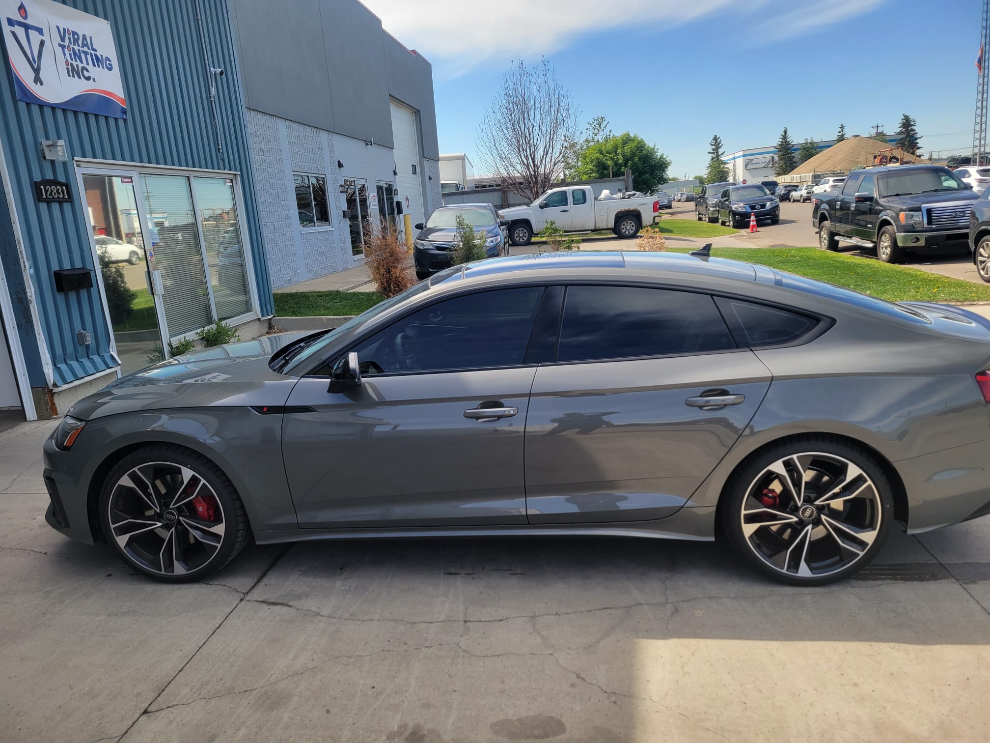 Viral Tinting work sample 21