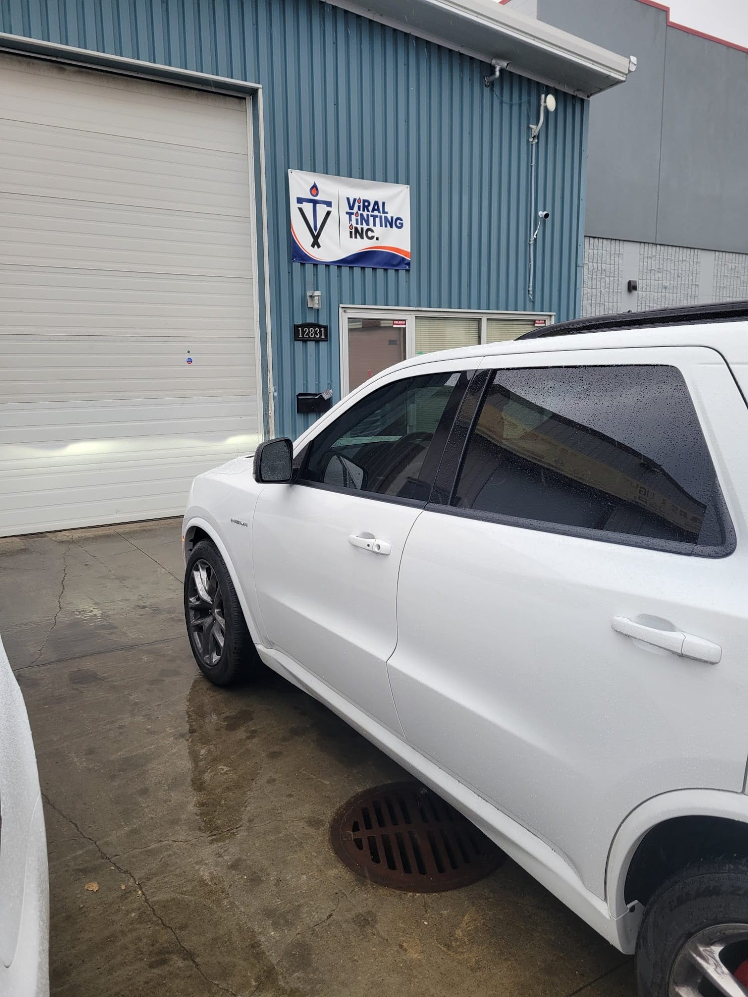 Viral Tinting work sample 26