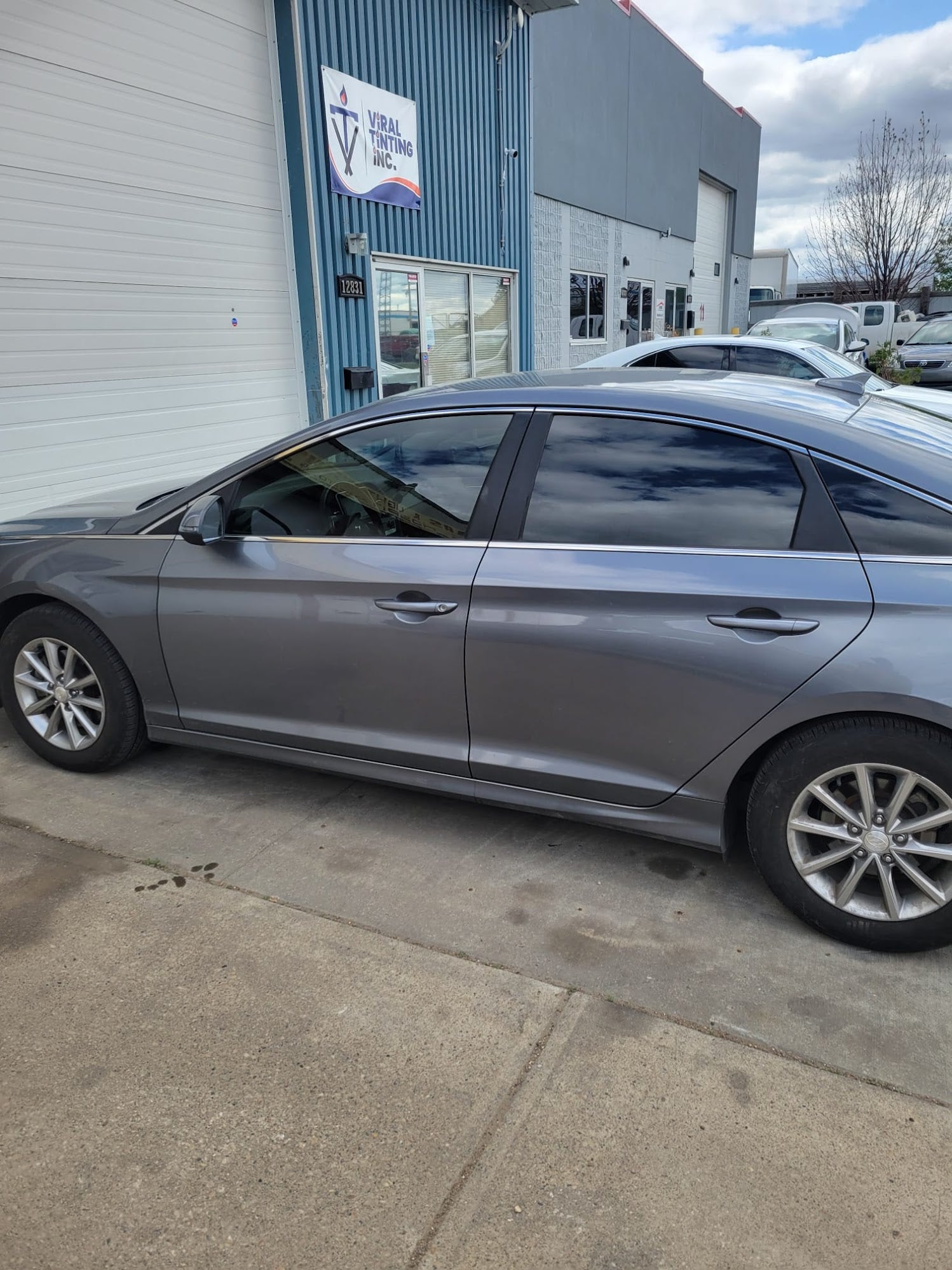 Viral Tinting work sample 28