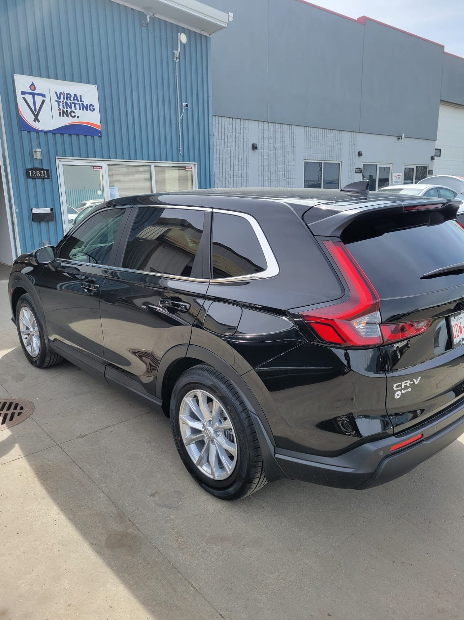 Viral Tinting work sample 30