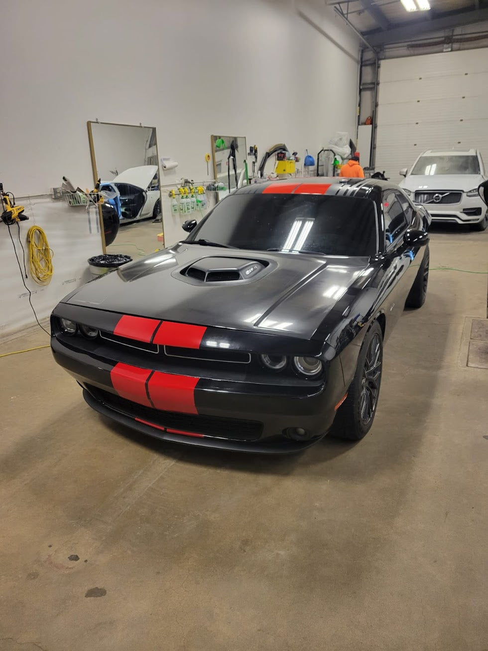 Viral Tinting work sample 46