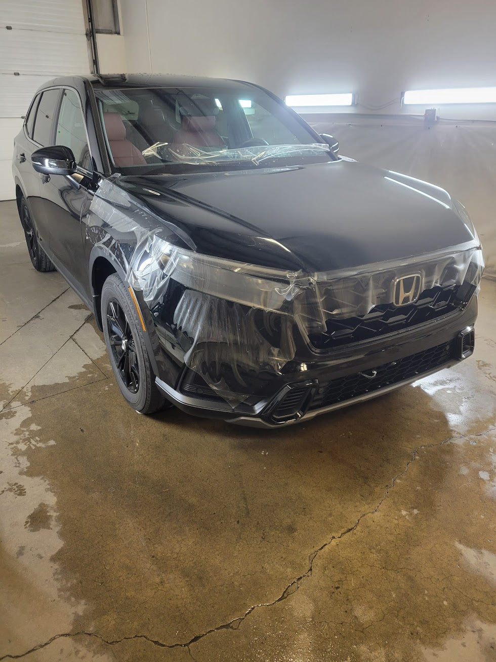 Viral Tinting work sample 56